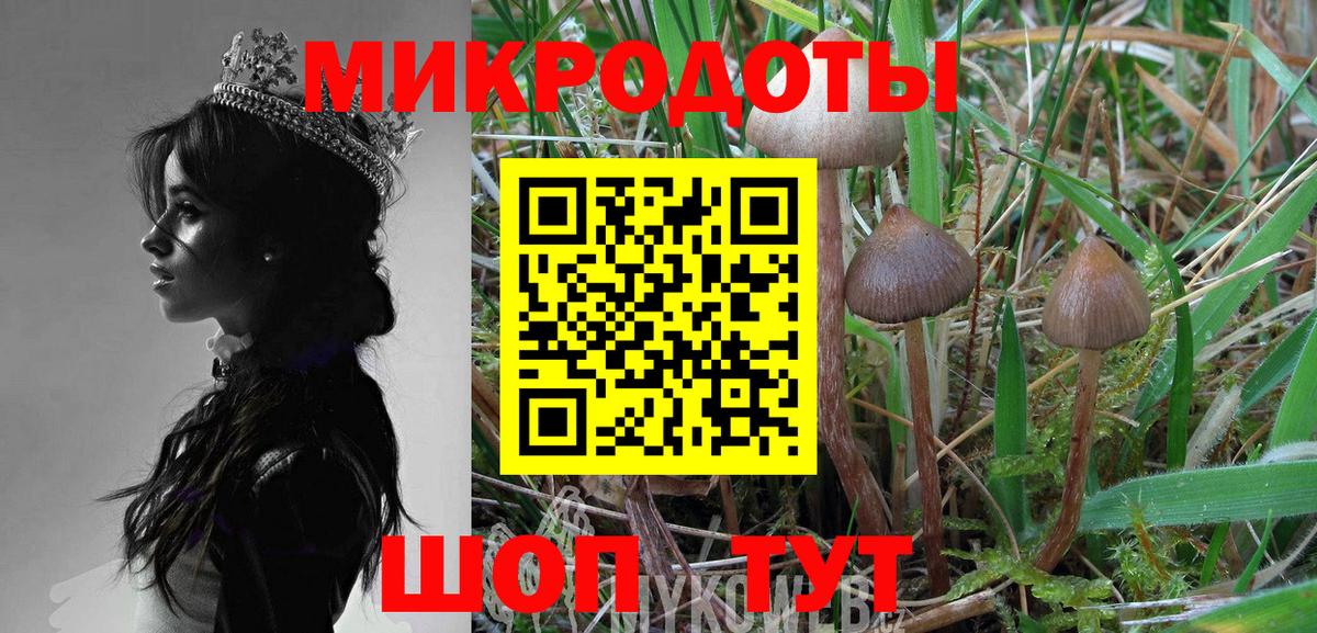 Луховицы  Псилоцибиновые грибы мухоморы  Вход с VPN 